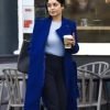 The Princess Switch Switched Again Vanessa Hudgens Blue Coat